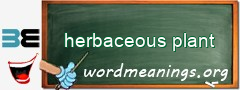 WordMeaning blackboard for herbaceous plant